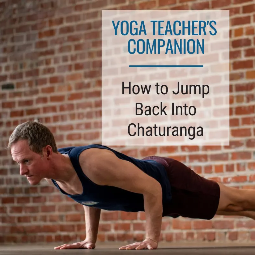 How To Do Chaturanga