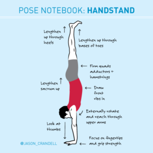 How to Teach Handstand | Handstand Tips | Jason Crandell Yoga Method