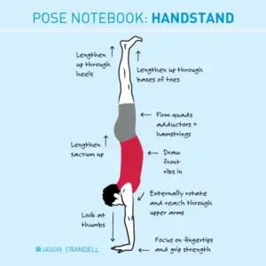 How to Teach Handstand | Handstand Tips | Jason Crandell Yoga Method