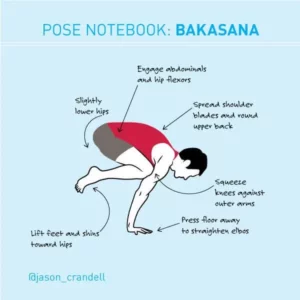 Bakasana yoga pose | Crow pose in yoga