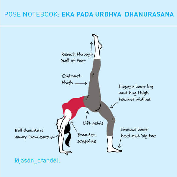Teaching Chaturanga Dandasana  Tips from Jason Crandell Yoga Method