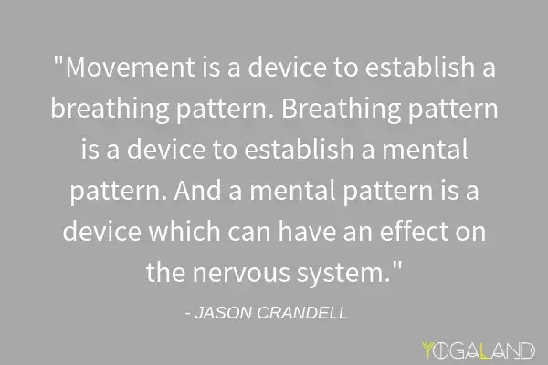 Jason Crandell quote saying "Movement is a device to establish a breathing pattern. Breathing pattern is a device to establish a mental pattern. And a mental pattern is a device which can have an effect on the nervous system."