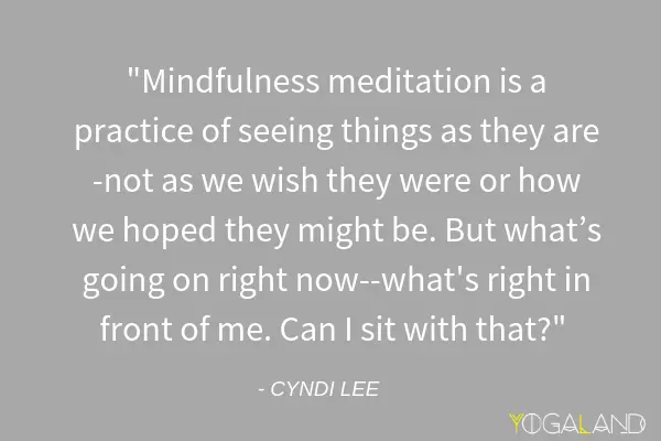 Cyndi Lee quote saying "Mindfulness meditation is a practice of seeing things as they are - not as we wish they were or how we hoped they might be. But what's going on right now - what's right in front of me. Can I sit with that?"
