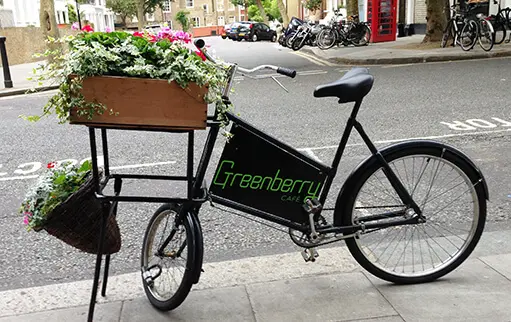 Greenberry flower bike