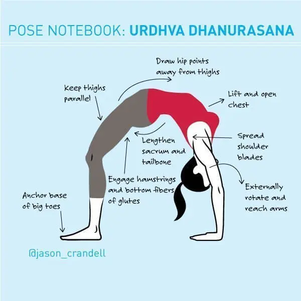 Mastering Chakrasana: Step-by-Step Guide & Benefits | by Diya Yoga | Medium
