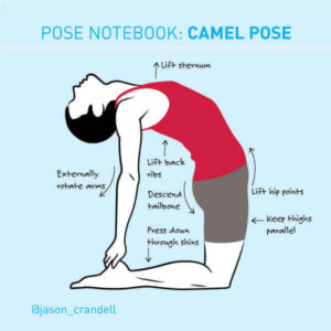 Ustrasana Camel Pose | Tips for Camel Pose | Jason Crandell Vinyasa Yoga Method